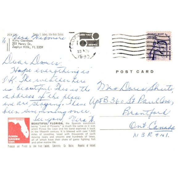 Postcard 1980 Florida The Sunshine State Beautiful Florida Vintage advertising - Picture 2 of 2